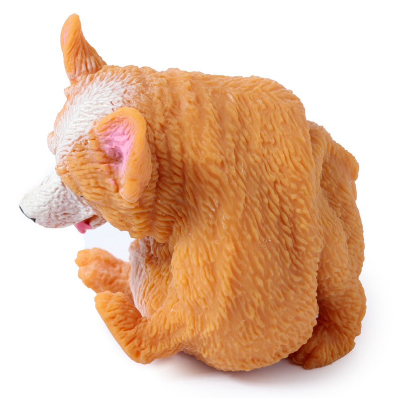 Natahovací corgi Stretchy